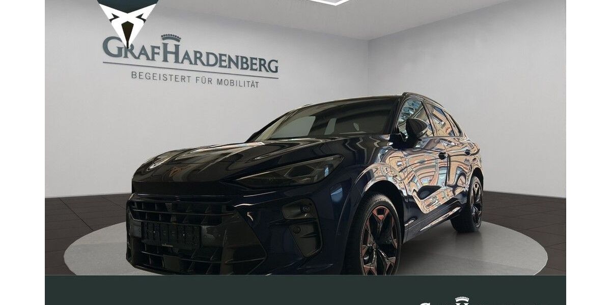 Cupra Terramar 2.500 km 45.390 &euro; Karlsruhe 76131