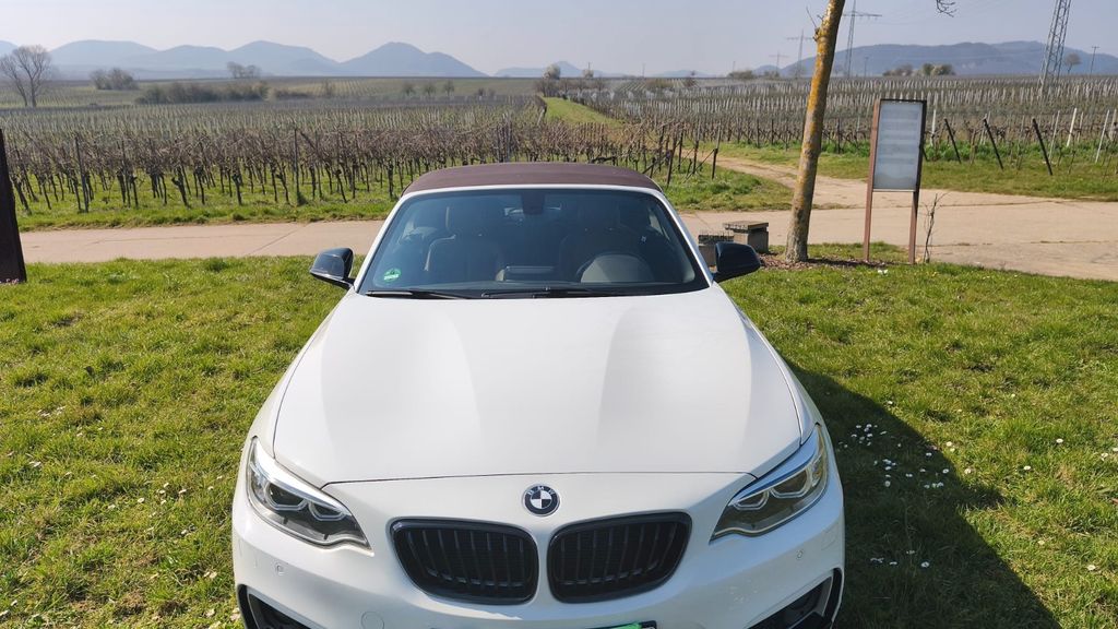 BMW 220 81.400 km 17.300 &euro; Landau 76829