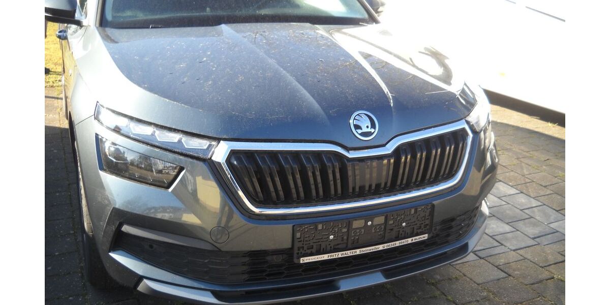 Skoda Kamiq 74.500 km 18.400 &euro; Steinweiler 76872