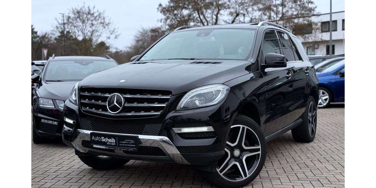 Mercedes-Benz ML 350 192.100 km 21.900 &euro; Forst 76694