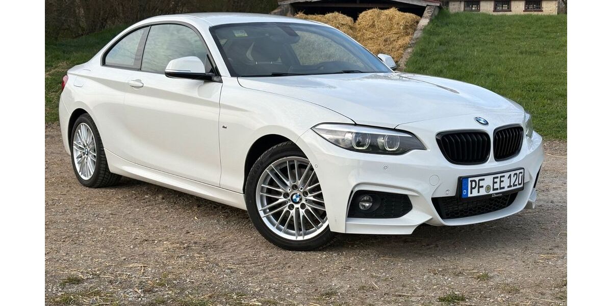 BMW 220 207.000 km 17.499 &euro; Pforzheim 75175