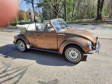 Gebrauchte VW Käfer