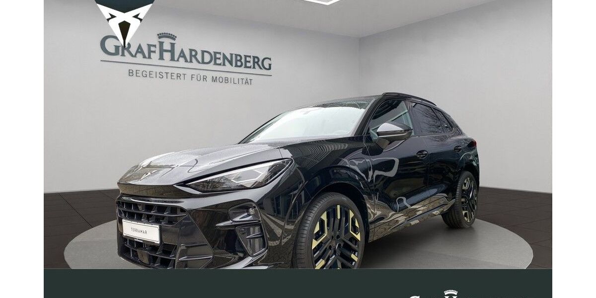 Cupra Terramar 2.500 km 56.790 &euro; Karlsruhe 76131
