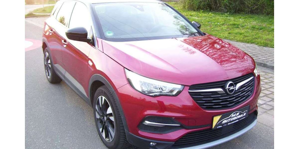 Opel Grandland X 110.000 km 14.599 &euro; Kandel 76870