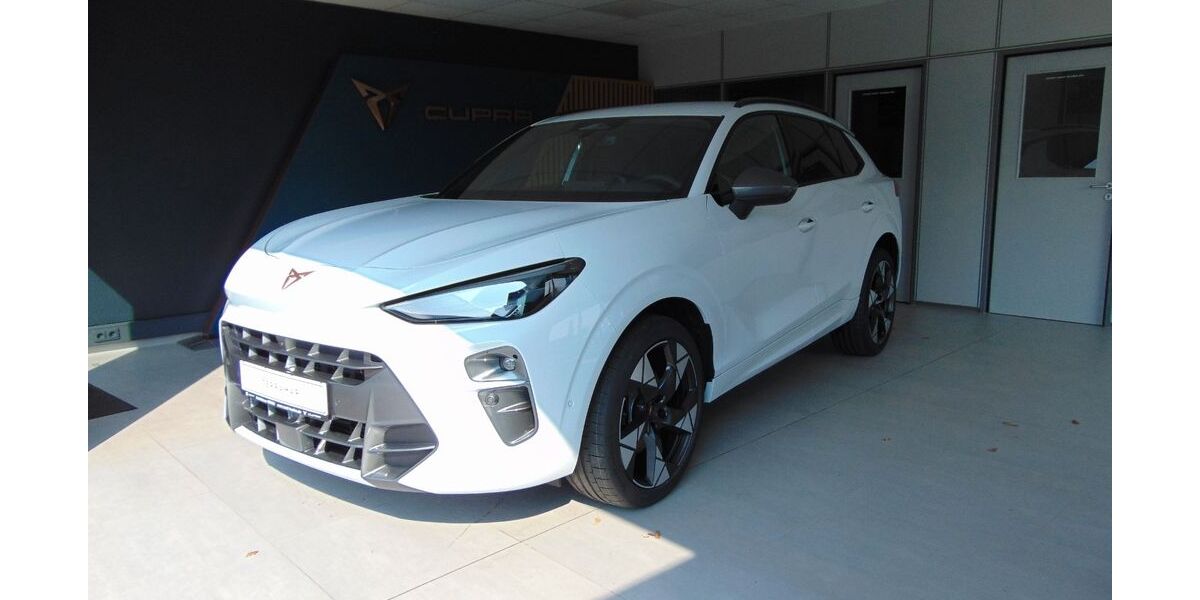 Cupra Terramar 3.200 km 46.490 &euro; Ötigheim 76470