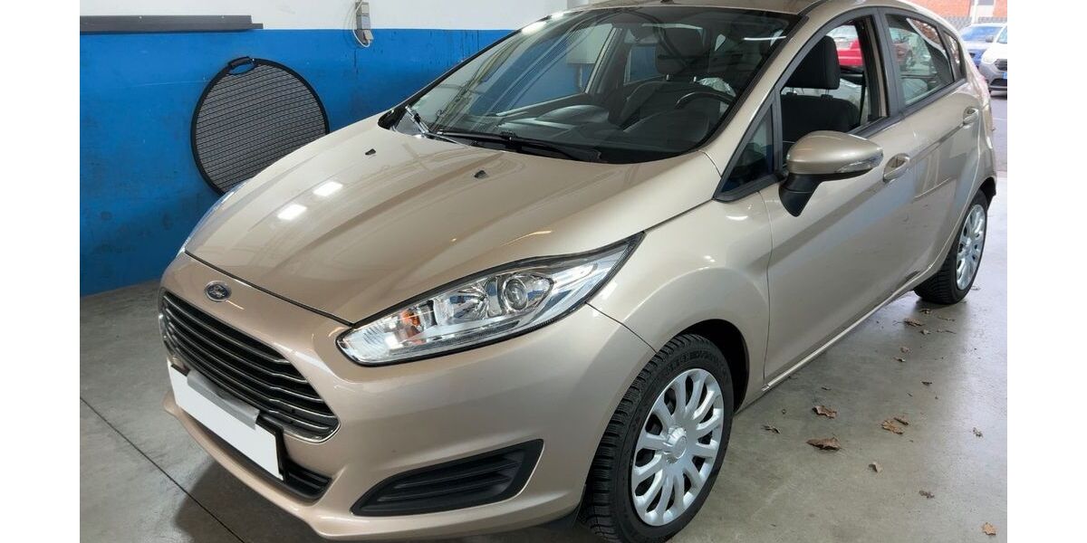Ford Fiesta 99.500 km 8.490 &euro; Birkenfeld 75217