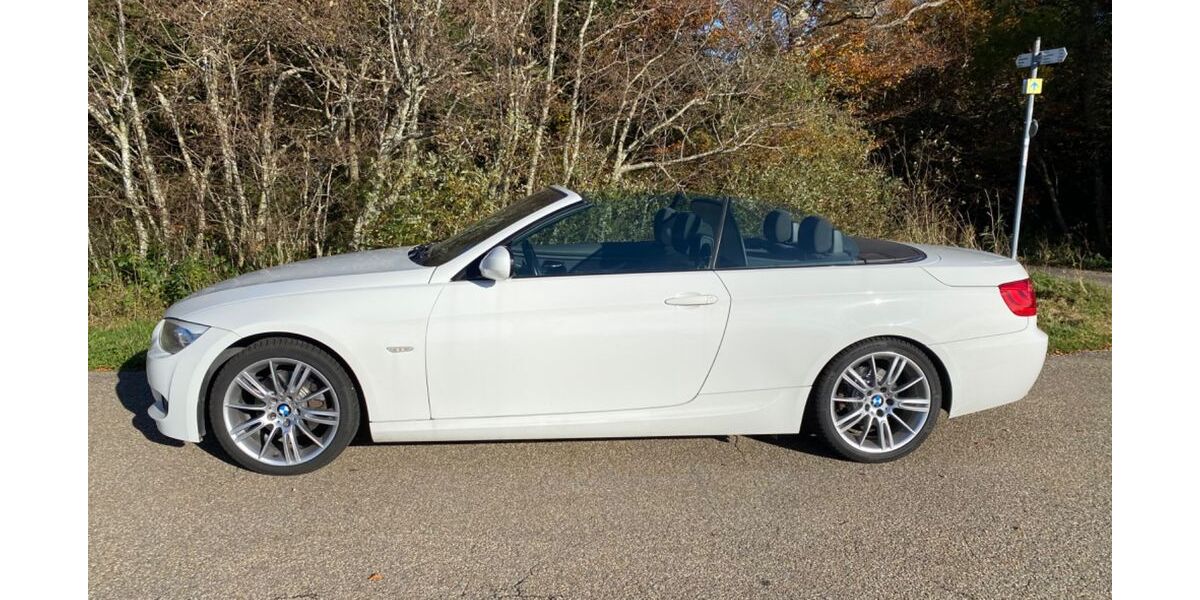 BMW 320 173.890 km 13.790 &euro; Landau 76829