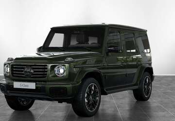 Mercedes-Benz G 450 10.000 km 171.110 &euro; Pforzheim 75179