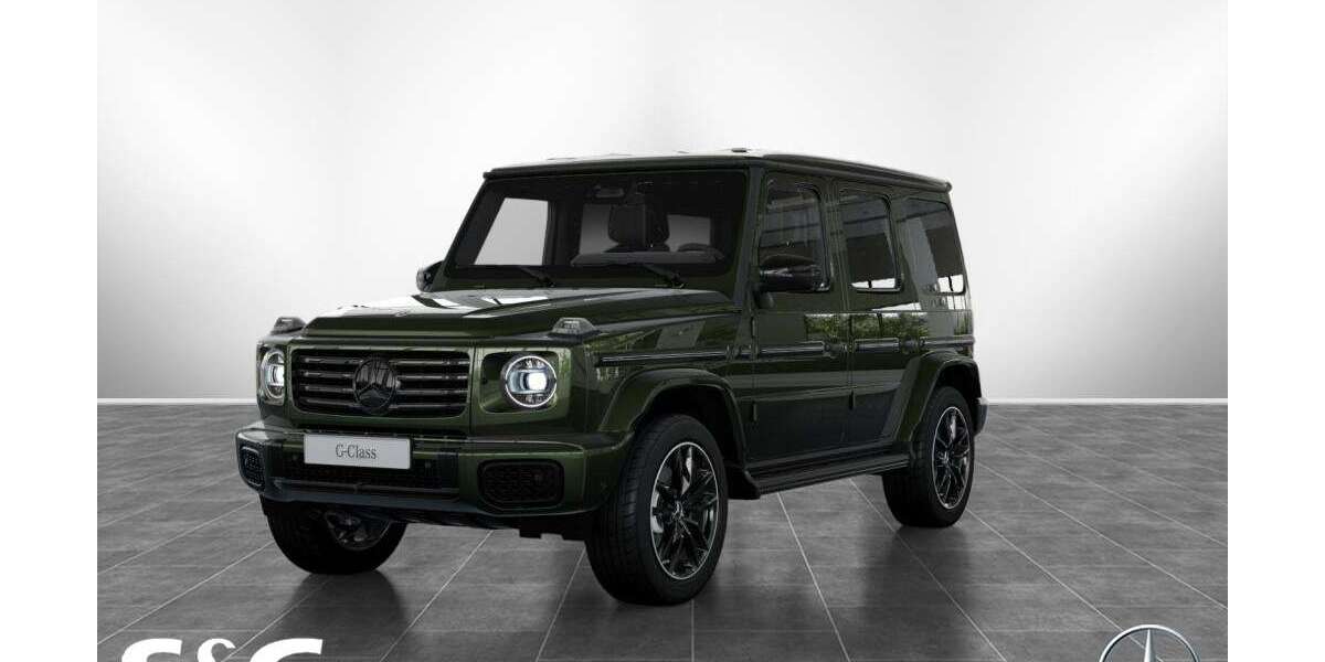 Mercedes-Benz G 450 10.000 km 171.110 &euro; Pforzheim 75179