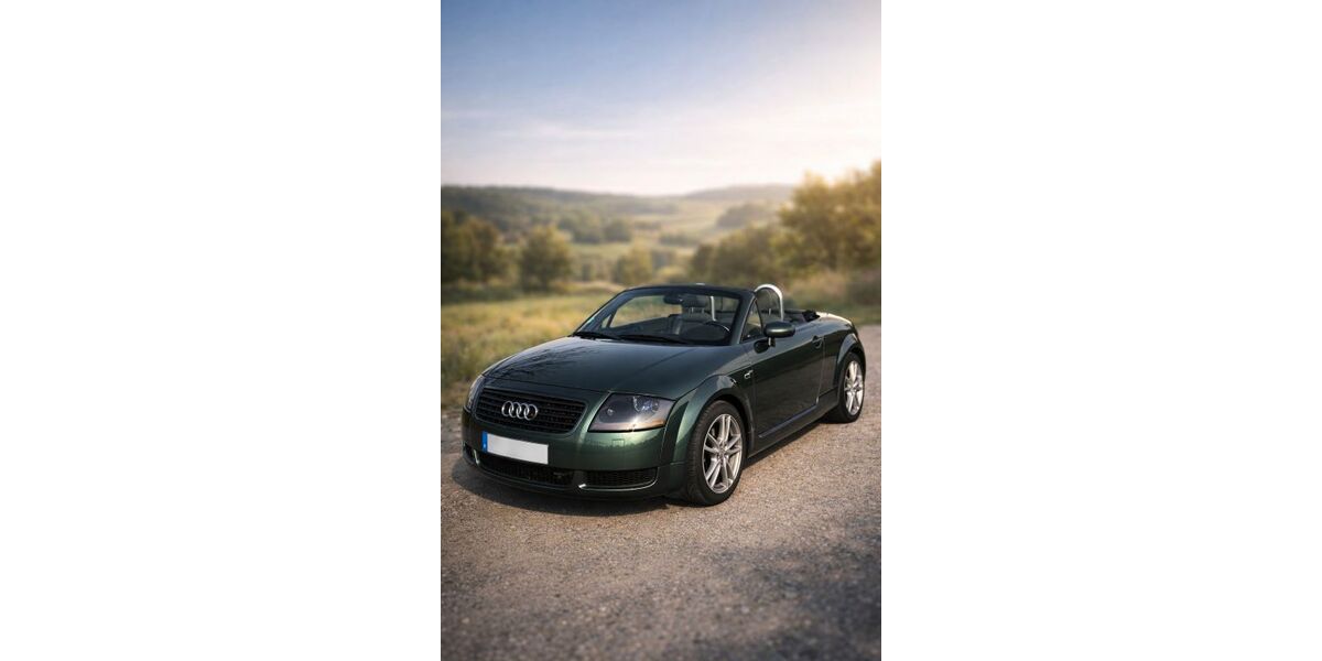 Audi TT 114.400 km 12.900 &euro; Ispringen 75228