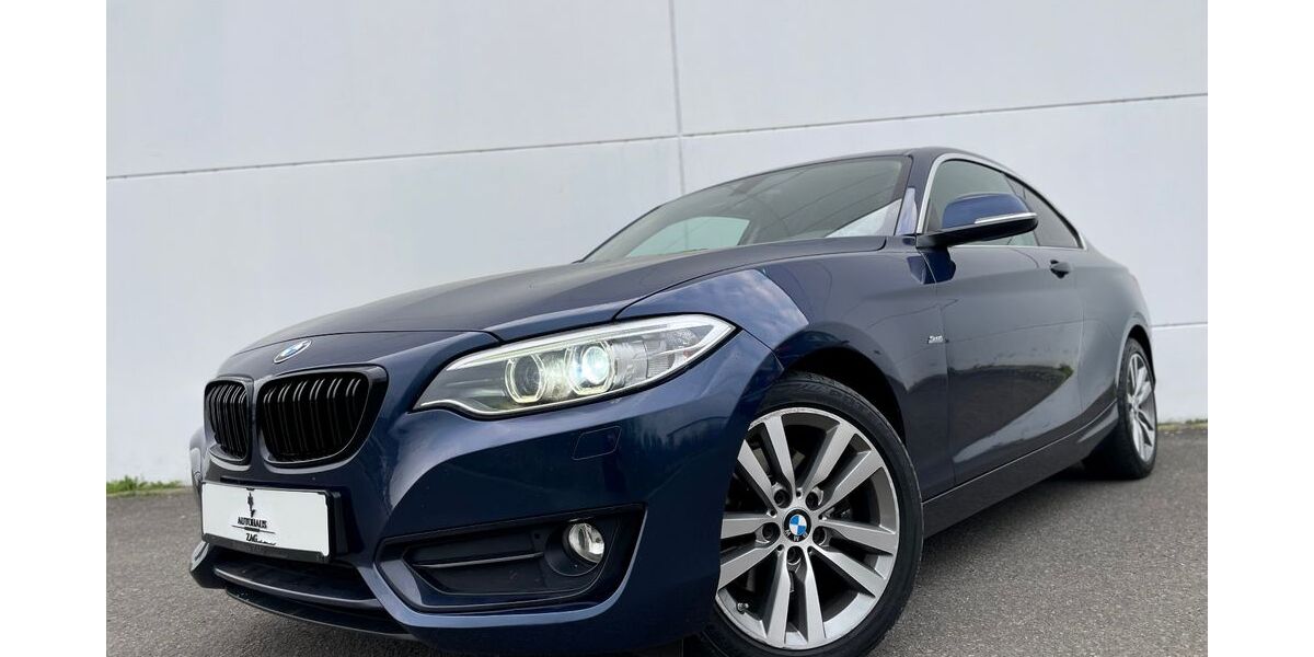 BMW 220 98.000 km 18.500 &euro; Germersheim 76726