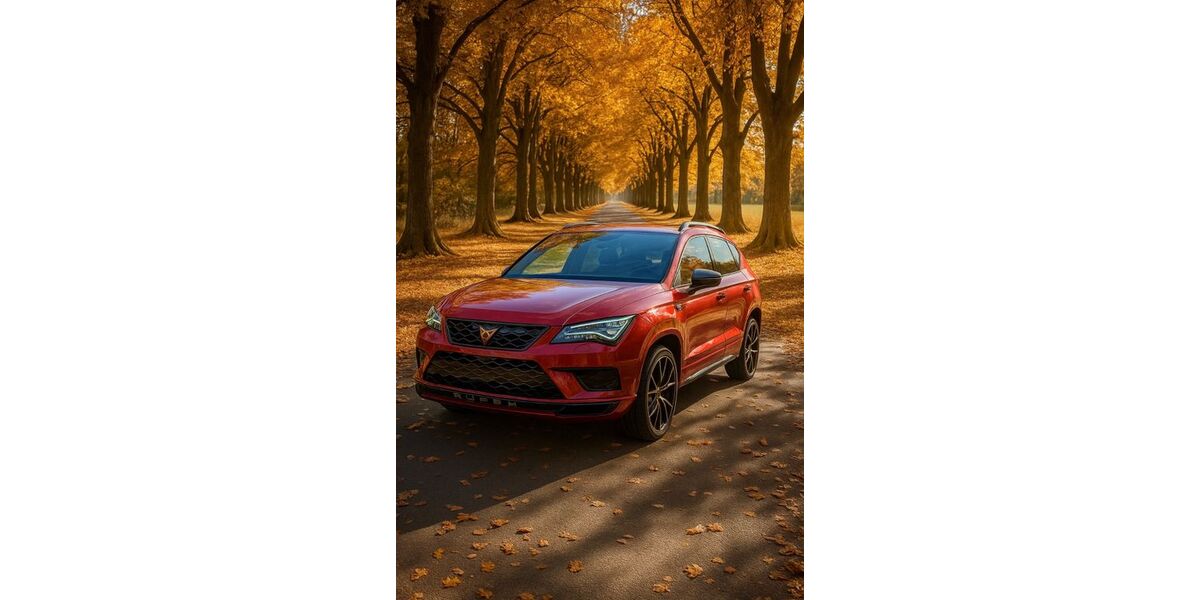 Cupra Ateca 103.000 km 22.300 &euro; Minfeld 76872