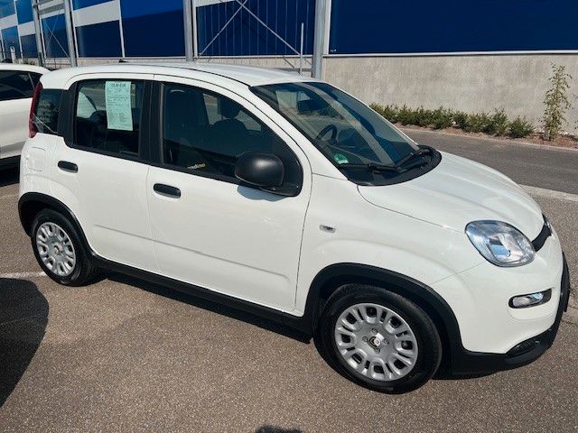 Fiat Panda 2.500 km 14.490 &euro; Rastatt 76437