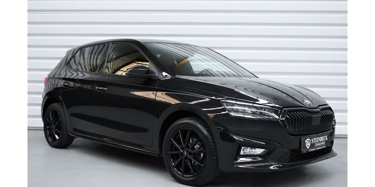 Skoda Fabia 24.150 km 17.990 &euro; Forst 76694