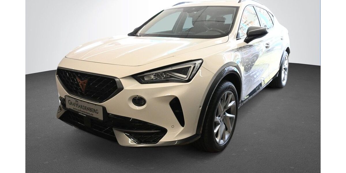 Cupra Formentor 38.000 km 23.980 &euro; Karlsruhe 76131