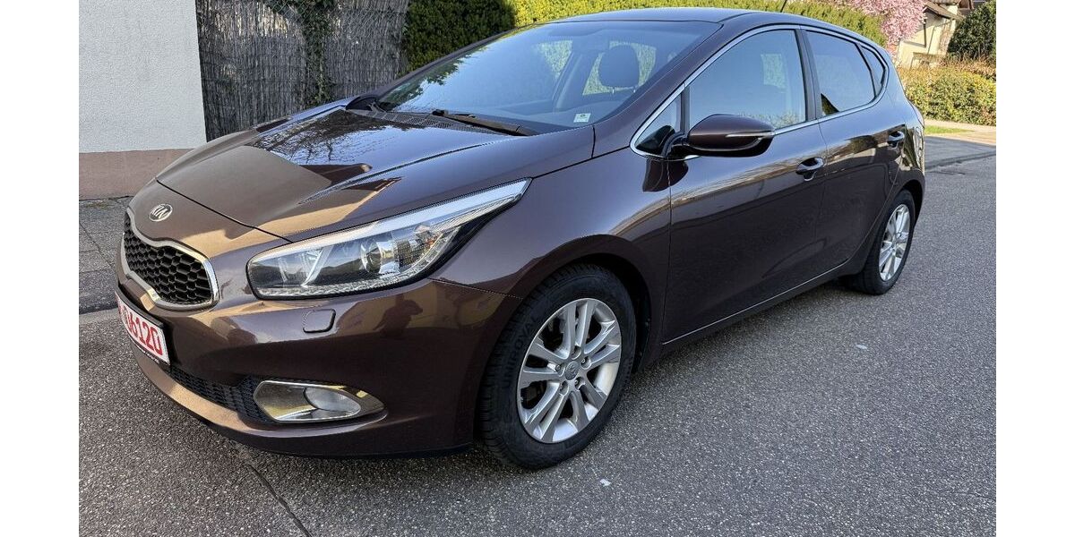 Kia Andere 290.000 km 5.200 &euro; Graben Neudorf 76676
