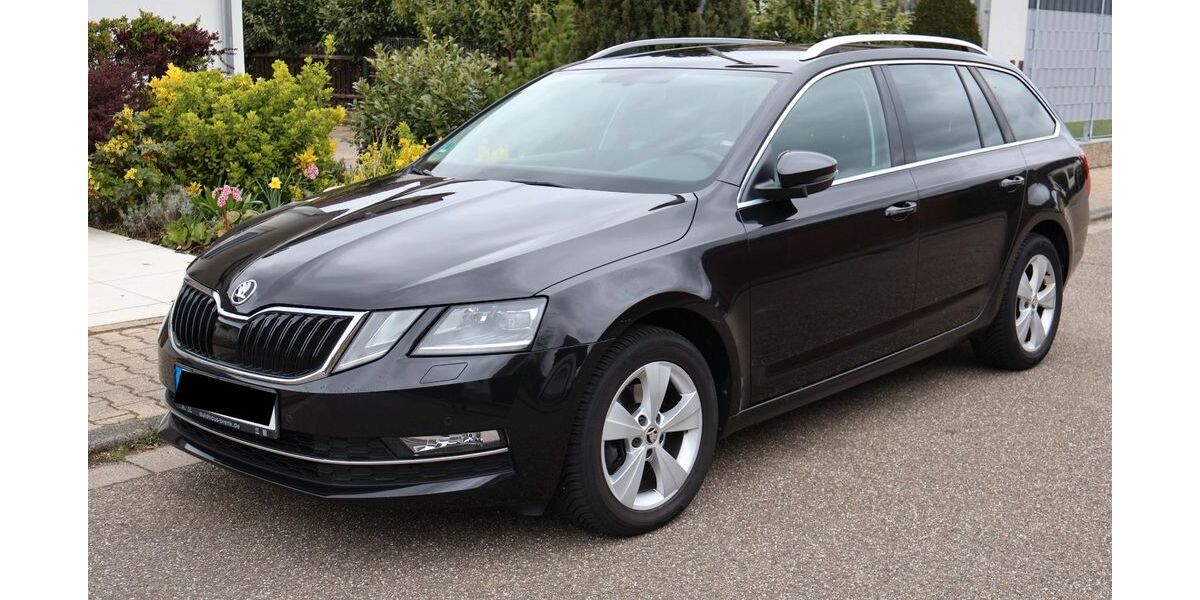 Skoda Octavia 89.200 km 18.900 &euro; Graben-Neudorf 76676