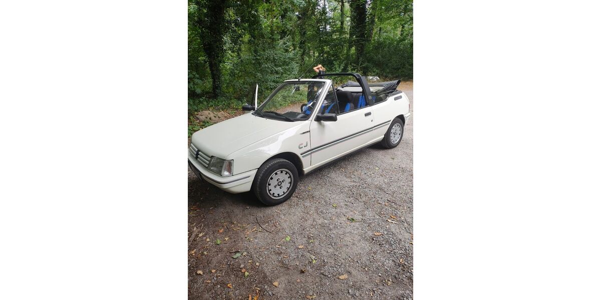Peugeot 205 172.000 km 4.600 &euro; Karlsruhe 76187