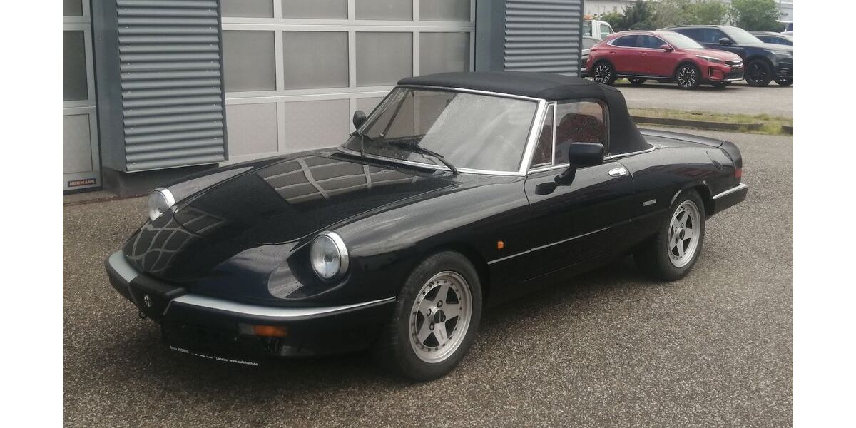 Alfa Romeo Spider 114.000 km 13.998 &euro; Landau 76829