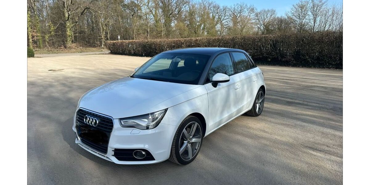 Audi A1 126.257 km 8.699 &euro; Waghäusel 68753