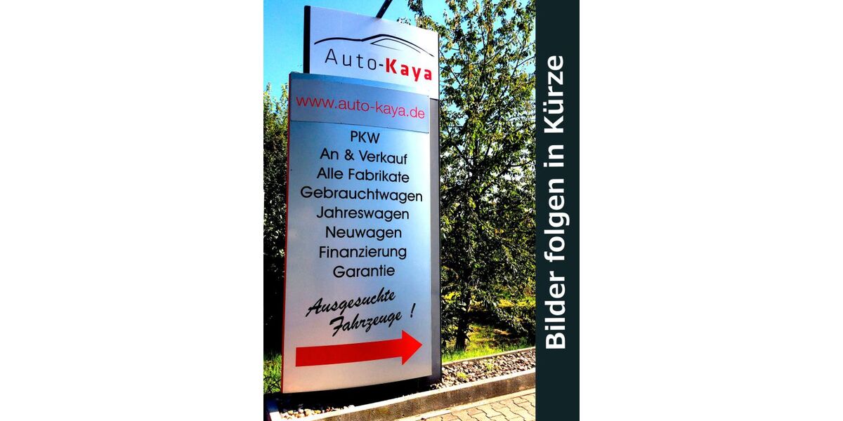 Porsche 911 Urmodell 160.900 km 80.950 &euro; Philippsburg 76661