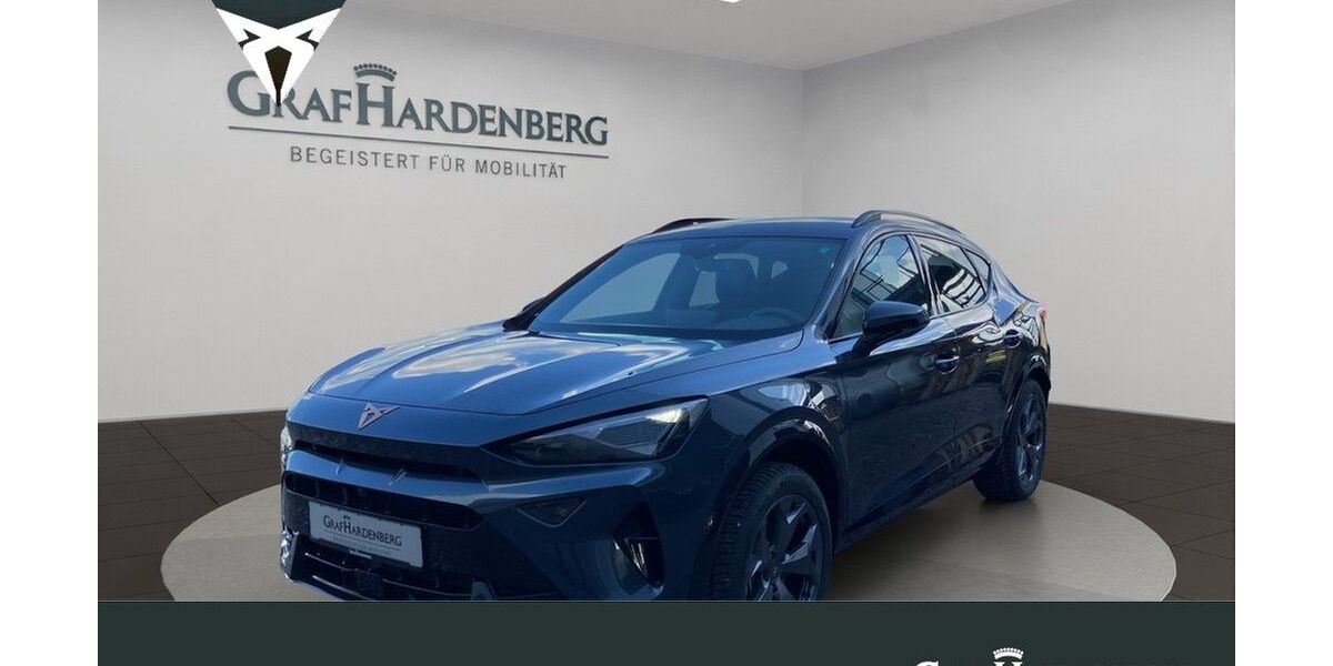 Cupra Formentor 20.329 km 35.990 &euro; Landau 76829