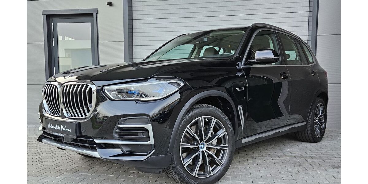 BMW X5 61.500 km 51.990 &euro; Rheinstetten-Karlsruhe 76287