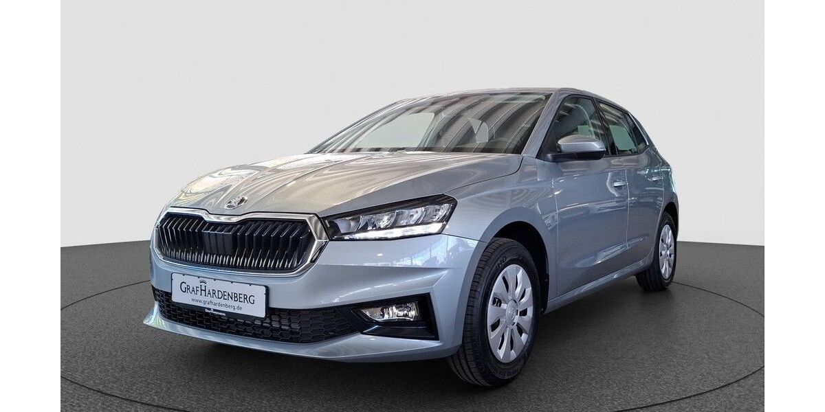 Skoda Fabia 1.150 km 20.890 &euro; Karlsruhe 76131