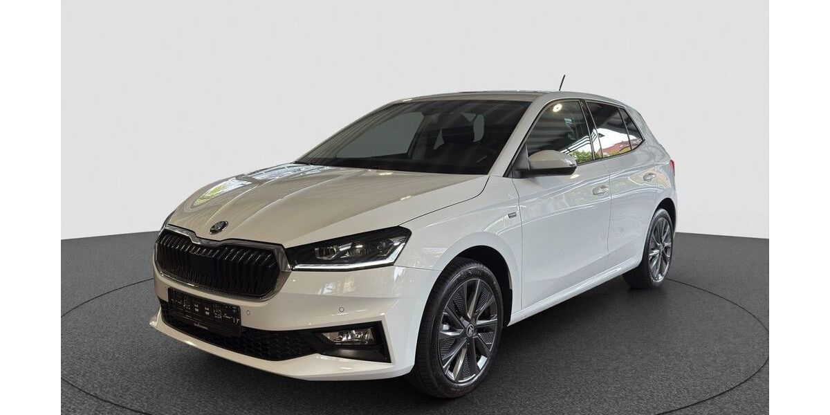 Skoda Fabia 4.000 km 29.390 &euro; Karlsruhe 76131